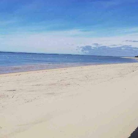 Appart Sur La Plage Pied Dans L Eau Avec Terrasse Jardin Vue Sur Le Bassin Depuis La Terrasse , Parking Arcachón Exterior foto