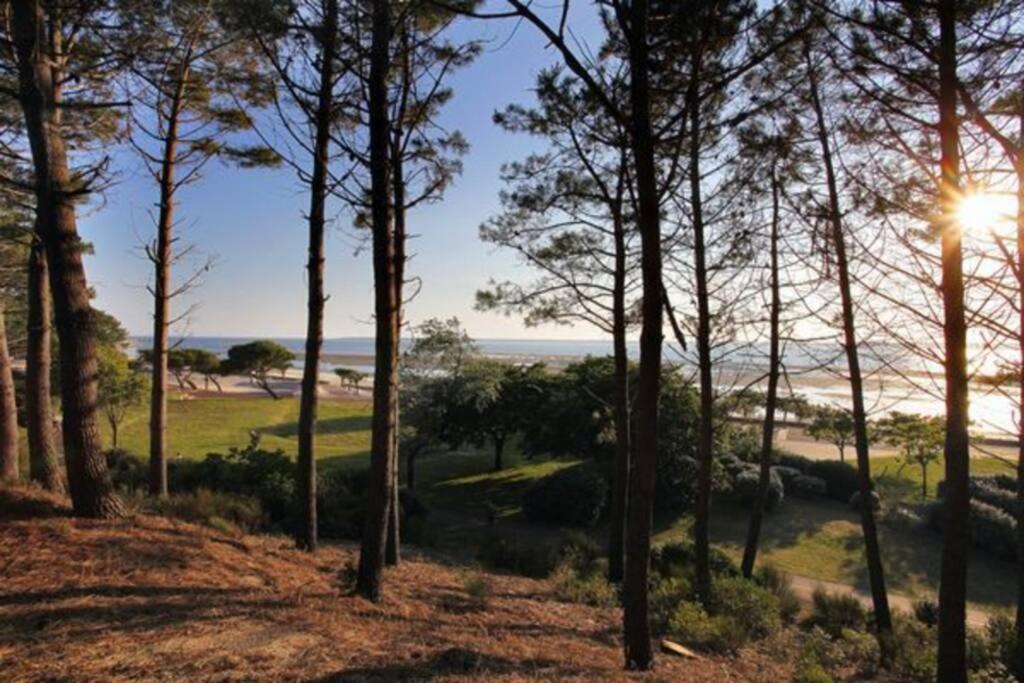 Appart Sur La Plage Pied Dans L Eau Avec Terrasse Jardin Vue Sur Le Bassin Depuis La Terrasse , Parking Arcachón Exterior foto