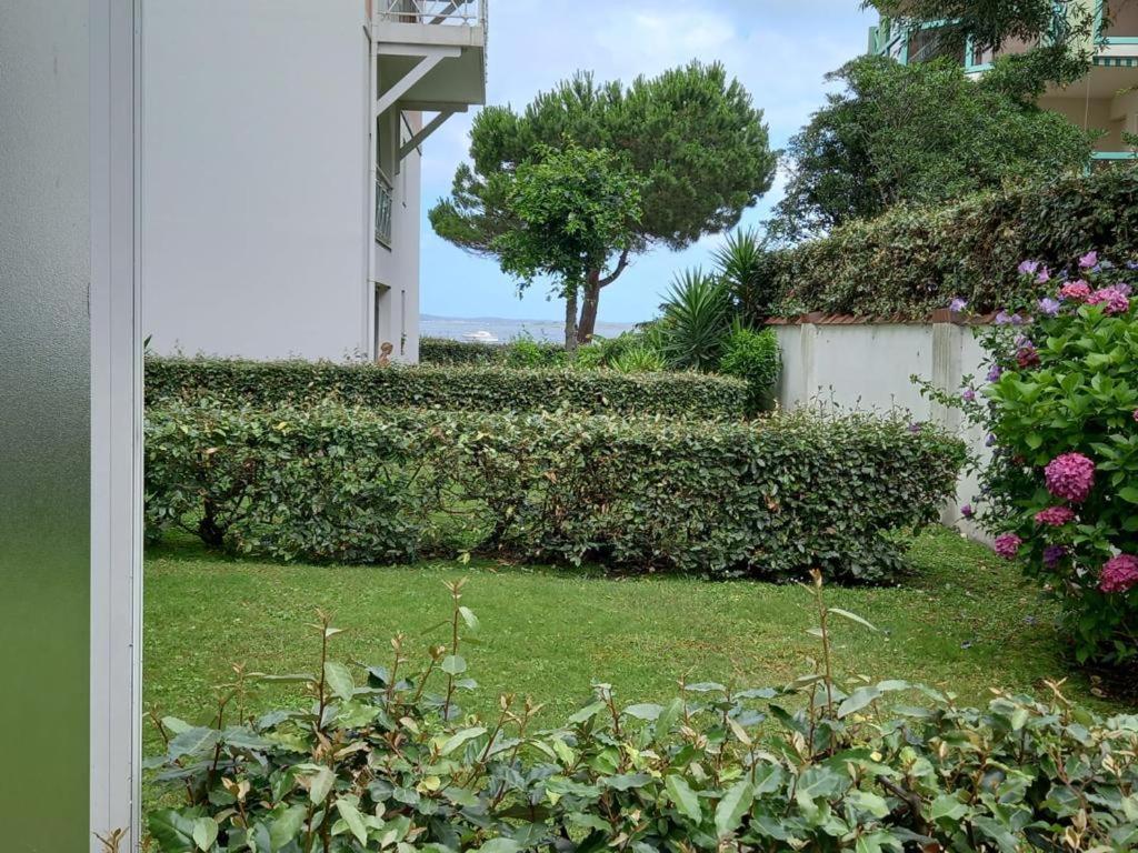 Appart Sur La Plage Pied Dans L Eau Avec Terrasse Jardin Vue Sur Le Bassin Depuis La Terrasse , Parking Arcachón Exterior foto